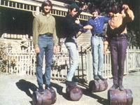 Monkees Monkees