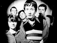 Pulp Pulp