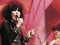 Siouxsie & The Banshees Siouxsie & The Banshees