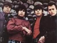 Standells Standells