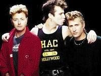 Stray Cats Stray Cats