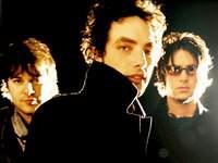 Wallflowers Wallflowers