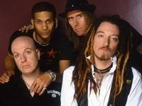 Wildhearts Wildhearts