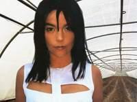 Bjork Bjork