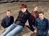 Cranberries Cranberries