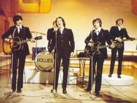 Hollies Hollies