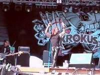 Krokus Krokus
