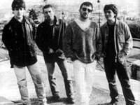 Lightning Seeds